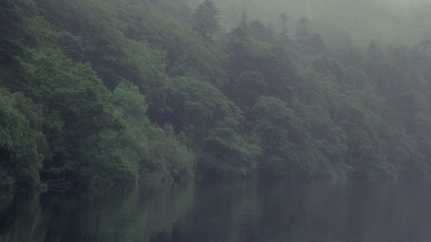 Excalibur, кадр 2