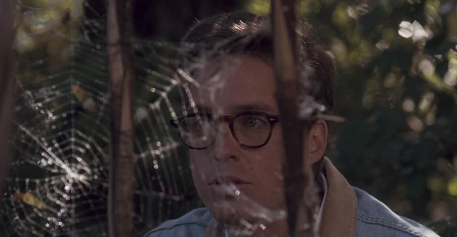Image 4 de Arachnophobia
