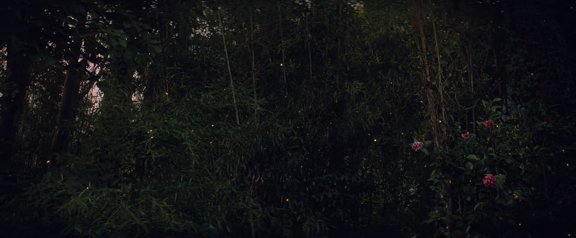 Black Widow, кадр 4