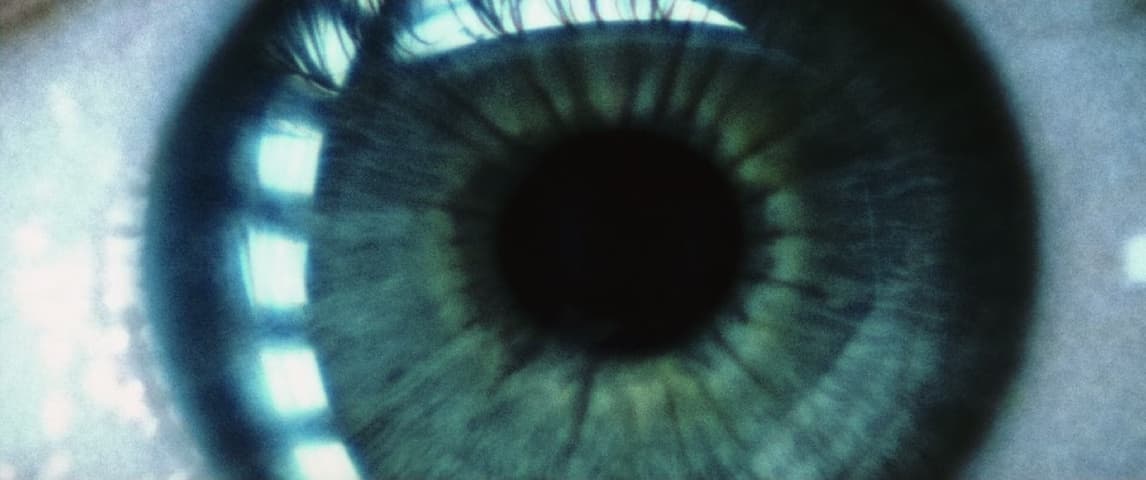 Image 3 de Minority Report