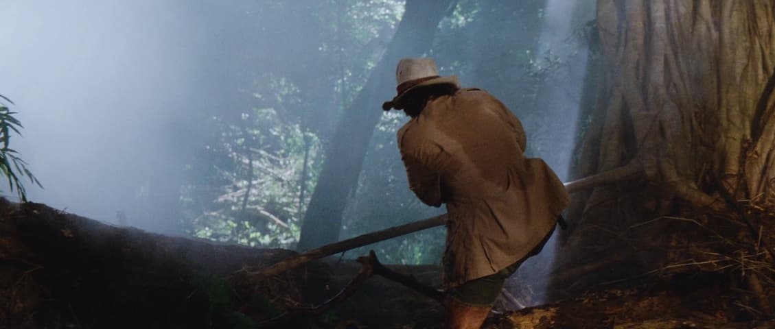 Image 2 de Raiders of the Lost Ark