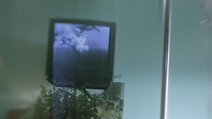 Image 3 de The Diving Bell and the Butterfly