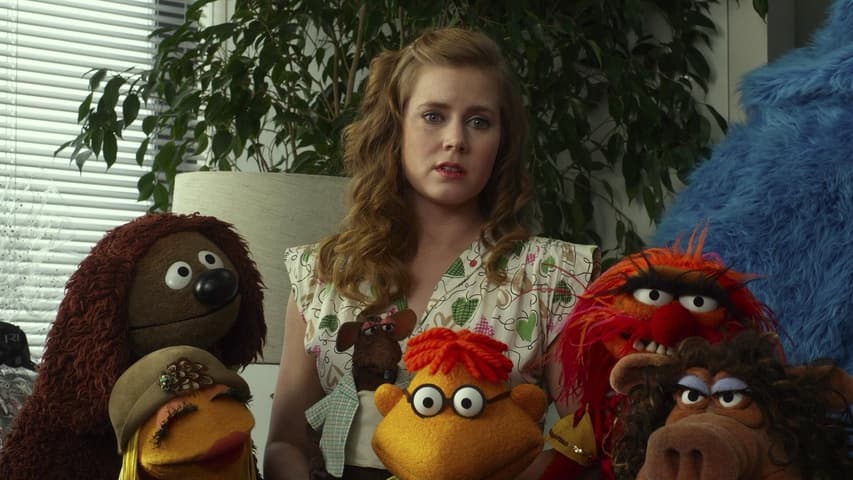 Image 3 de The Muppets