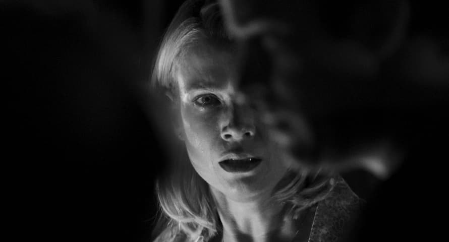 Image 2 de The Mist