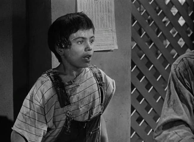 The Treasure of the Sierra Madre frame 2