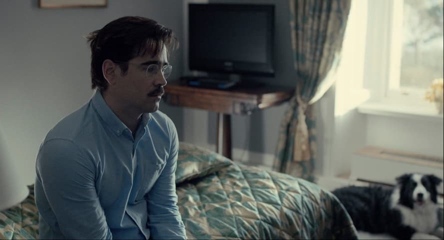 Image 4 de The Lobster