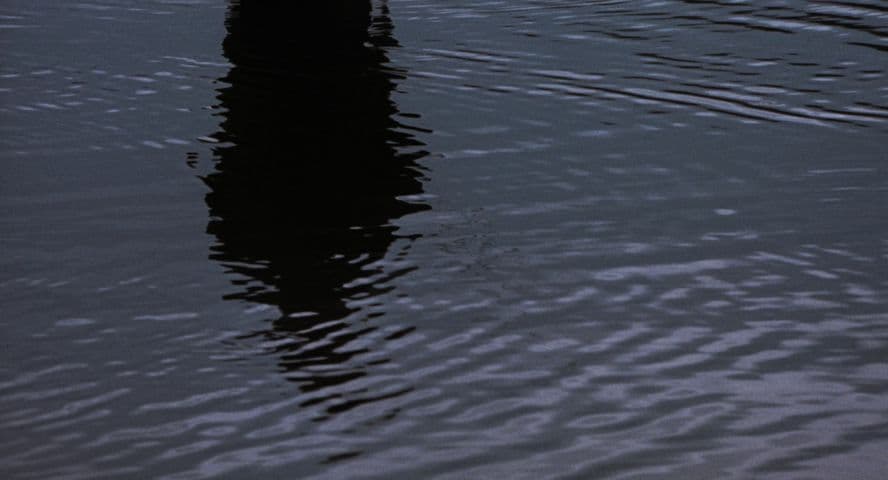 Big Fish frame 3