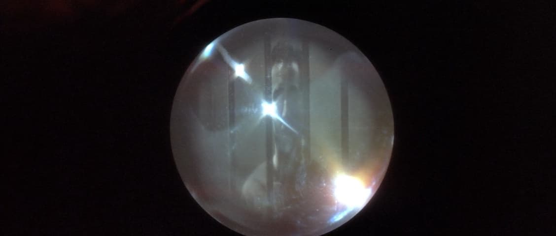 Image 3 de Wild at Heart