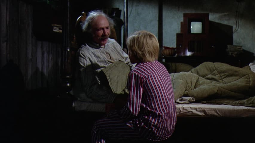Willy Wonka & the Chocolate Factory frame 4