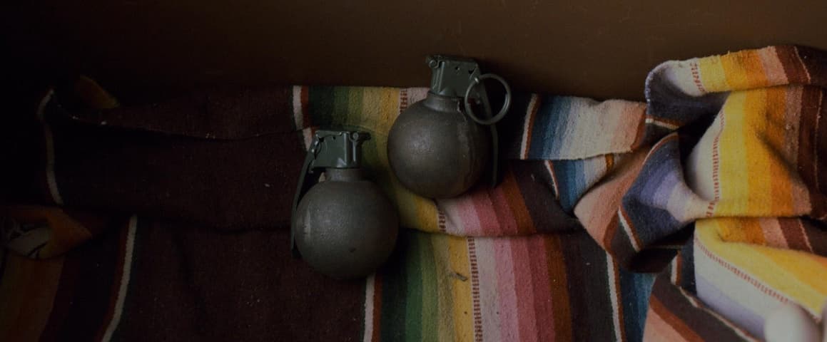Image 3 de The Guest