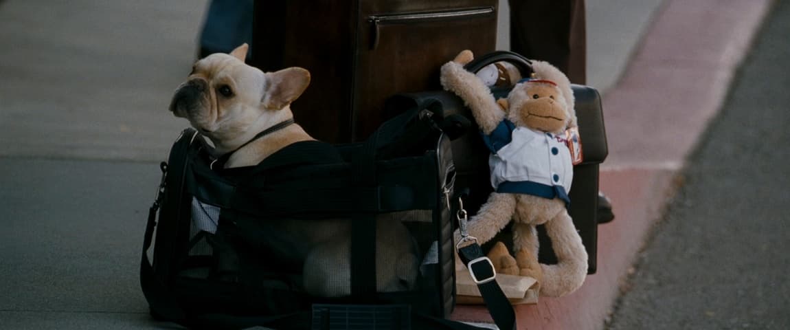 Due Date frame 2