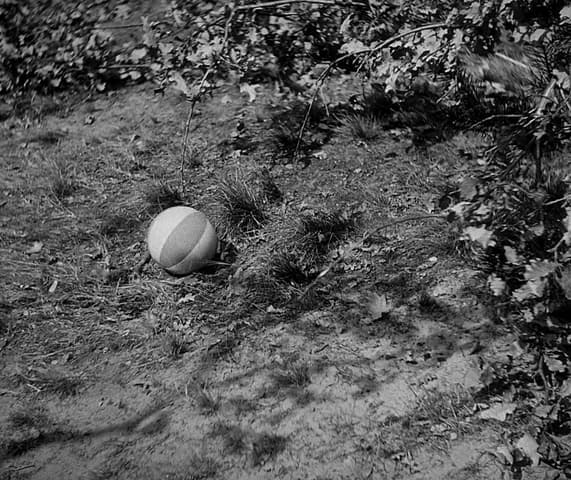 Image 4 de M