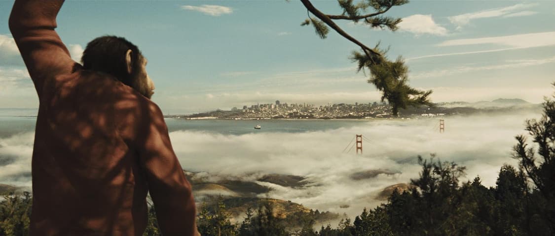 Rise of the Planet of the Apes frame 4