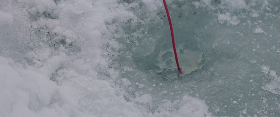 Image 1 de Arctic