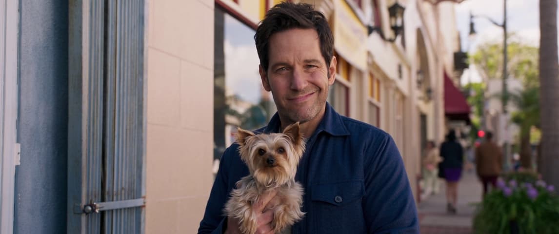 Image 2 de Ant-Man and the Wasp: Quantumania