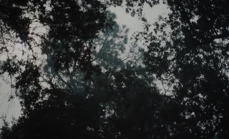 The Beguiled frame 1