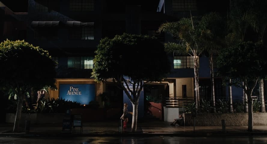 Image 4 de All About Steve