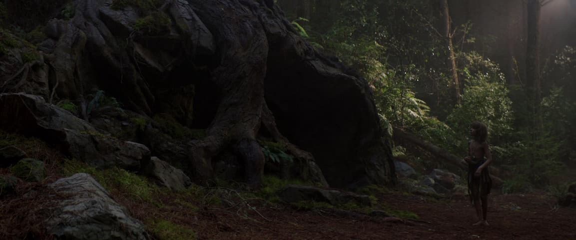 Image 1 de Pete's Dragon