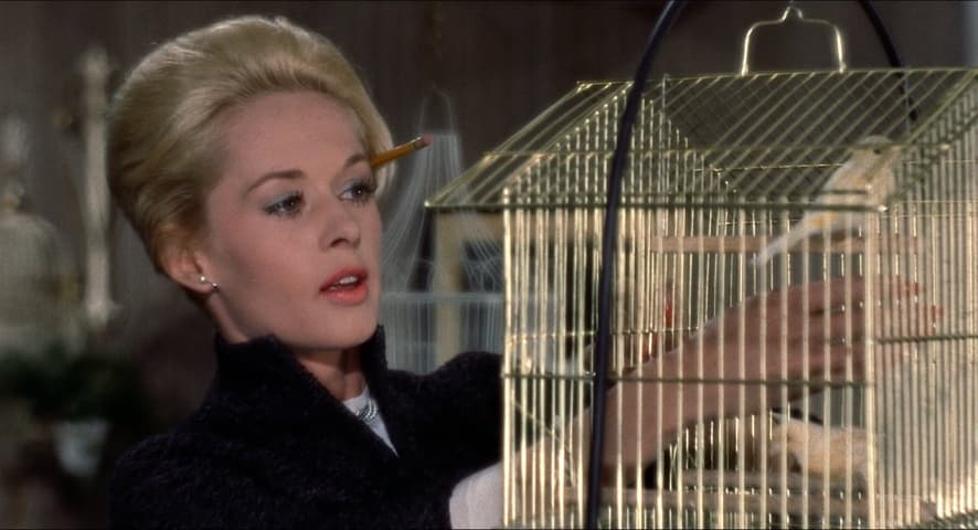Image 3 de The Birds