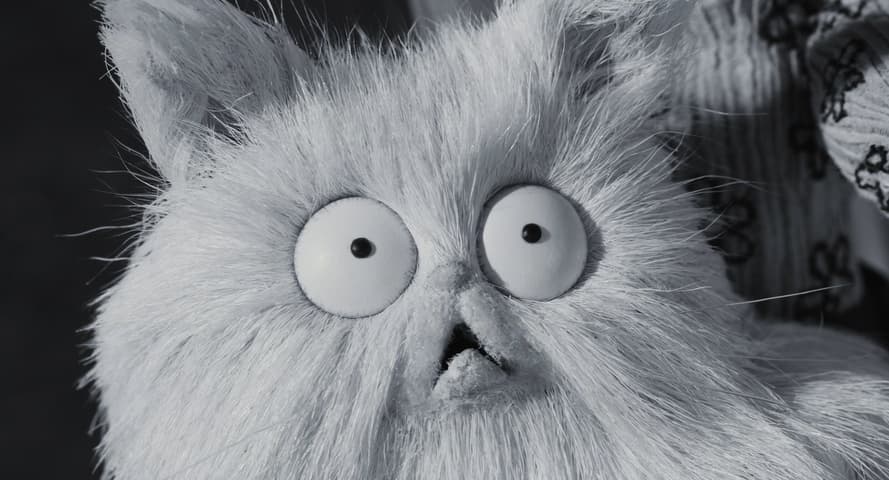 Image 1 de Frankenweenie