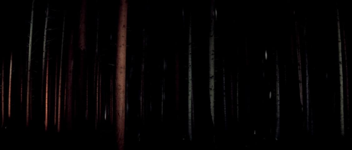 Suspiria, кадр 4