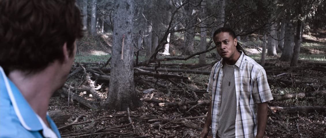Tucker and Dale vs. Evil frame 3