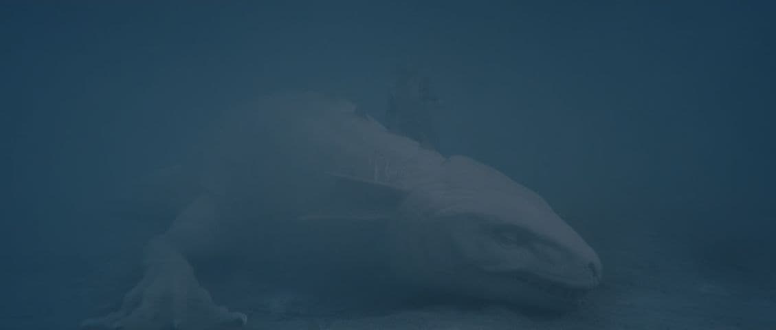 Image 4 de Tale of Tales