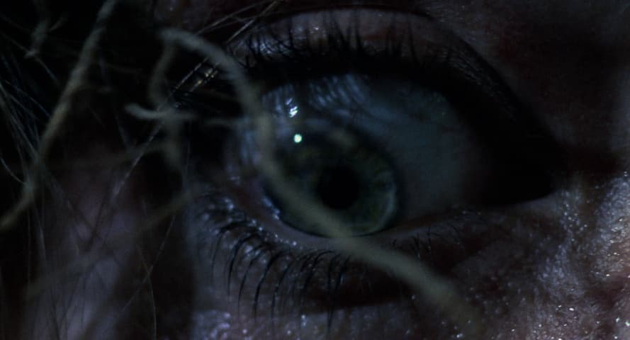 Evil Dead II frame 3