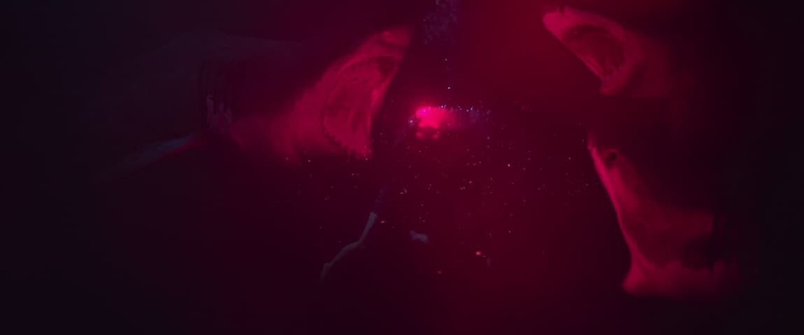 Image 1 de 47 Meters Down