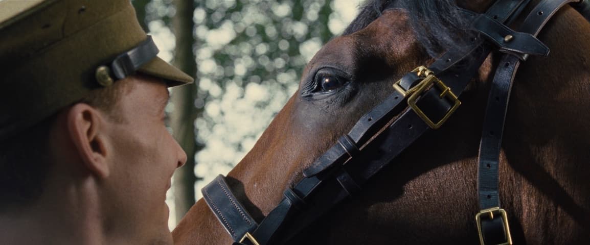 Image 4 de War Horse