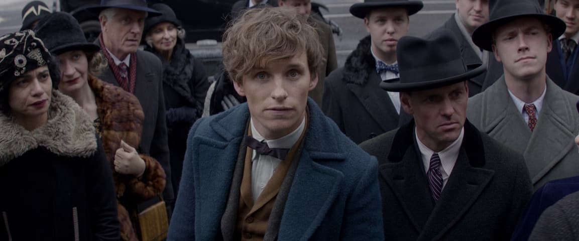 Fantastic Beasts and Where to Find Them frame 4