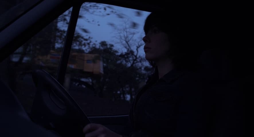 Image 4 de Under the Skin