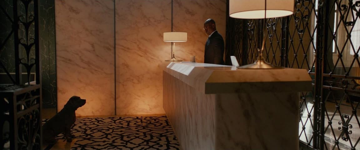 Image 4 de John Wick: Chapter 2