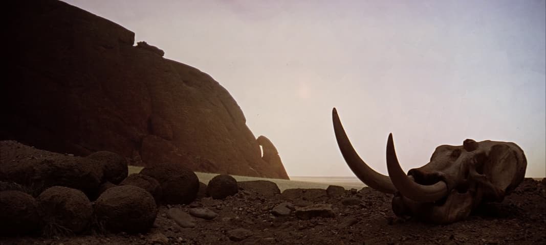 2001: A Space Odyssey frame 3