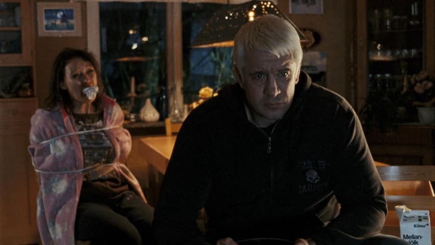 The Girl Who Kicked the Hornet's Nest frame 4
