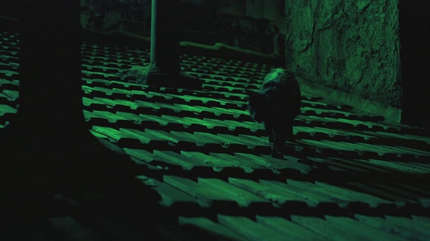 To Catch a Thief, кадр 2