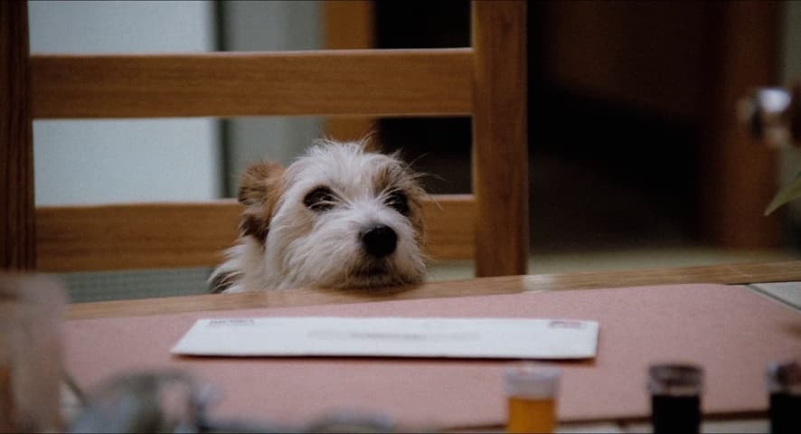 Honey, I Shrunk the Kids frame 2