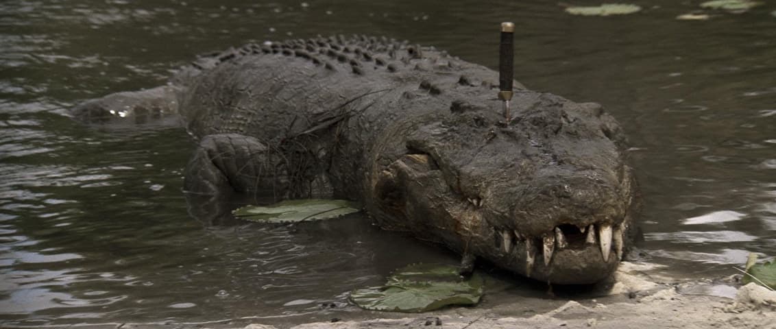 Crocodile Dundee frame 4