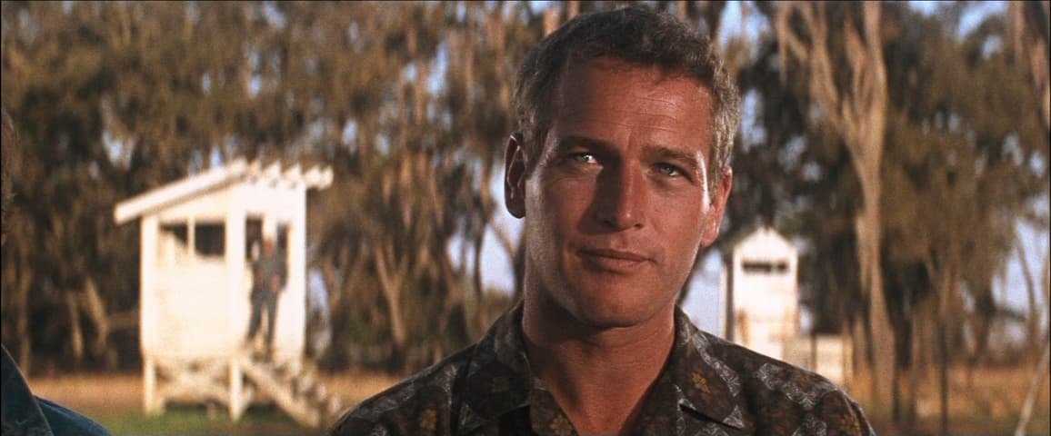 Image 2 de Cool Hand Luke