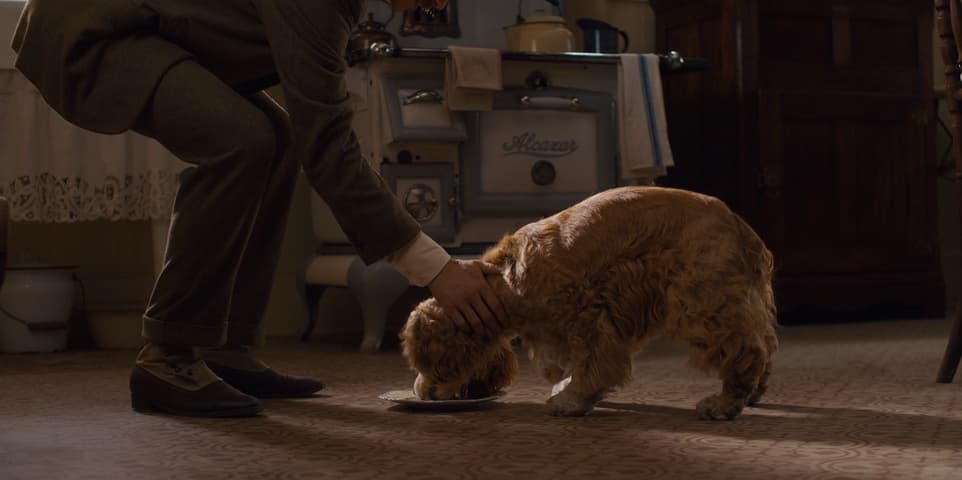 Lady and the Tramp frame 3