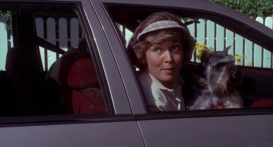 Mystery Date frame 2