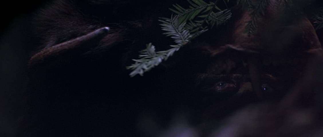 The 13th Warrior frame 2