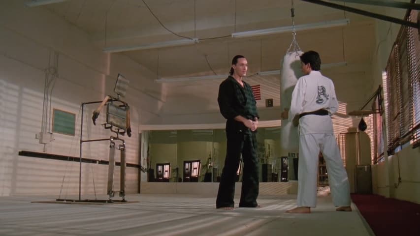 Image 1 de The Karate Kid Part III