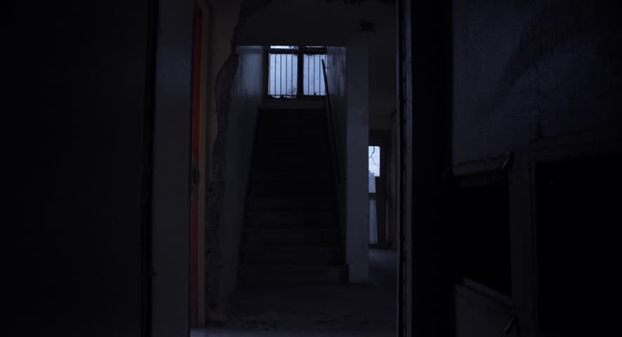 Image 1 de Under the Skin