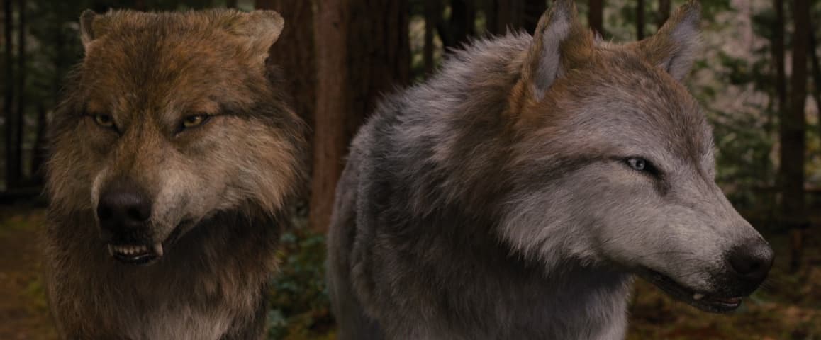 The Twilight Saga: Breaking Dawn – Part 2 frame 2