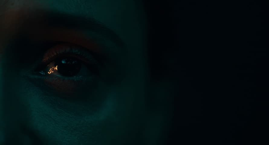 The Invitation, кадр 3