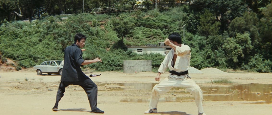 Image 3 de The Way of the Dragon