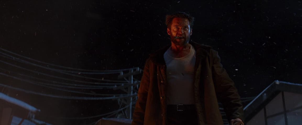 Image 2 de The Wolverine