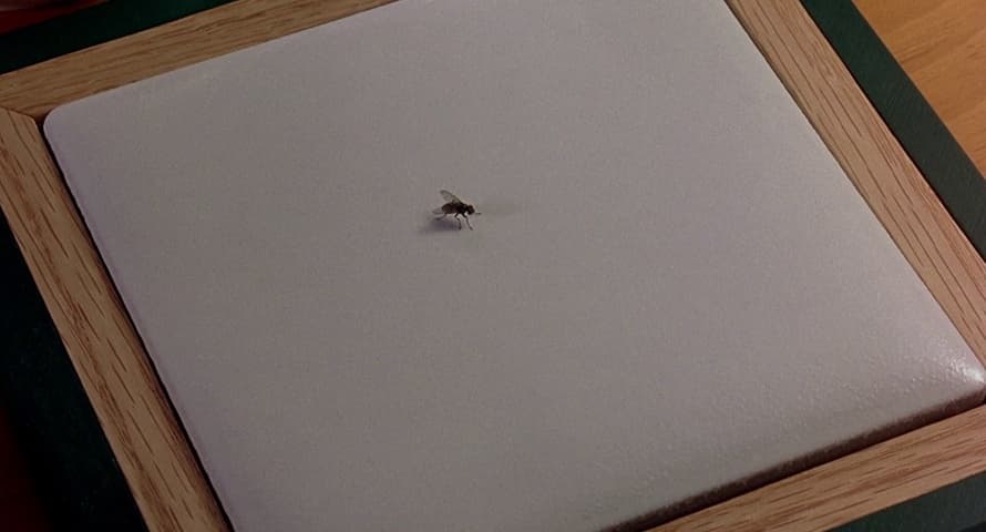Image 2 de Serial Mom
