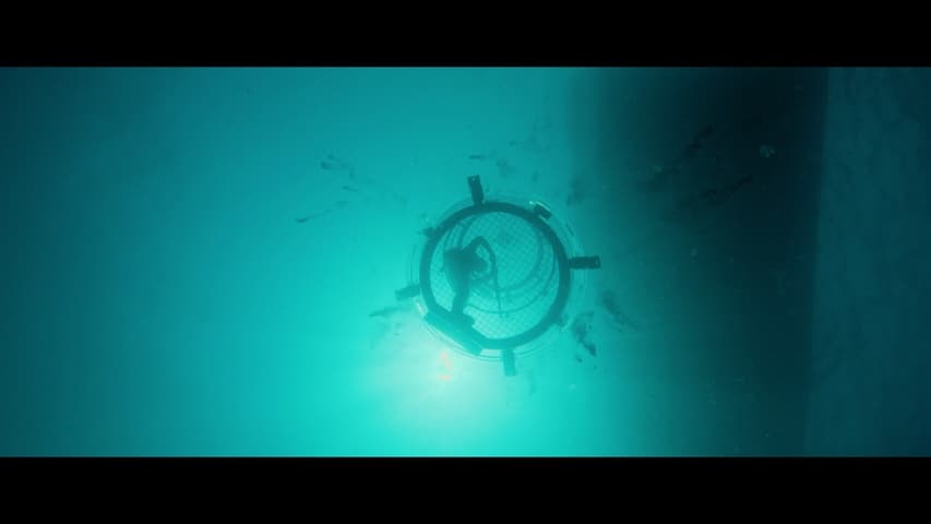 Image 1 de The Meg